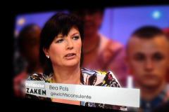 Als expert bij Hollandse Zaken