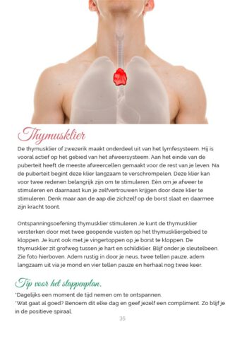 Oefeningen om beter in je vel te komen.